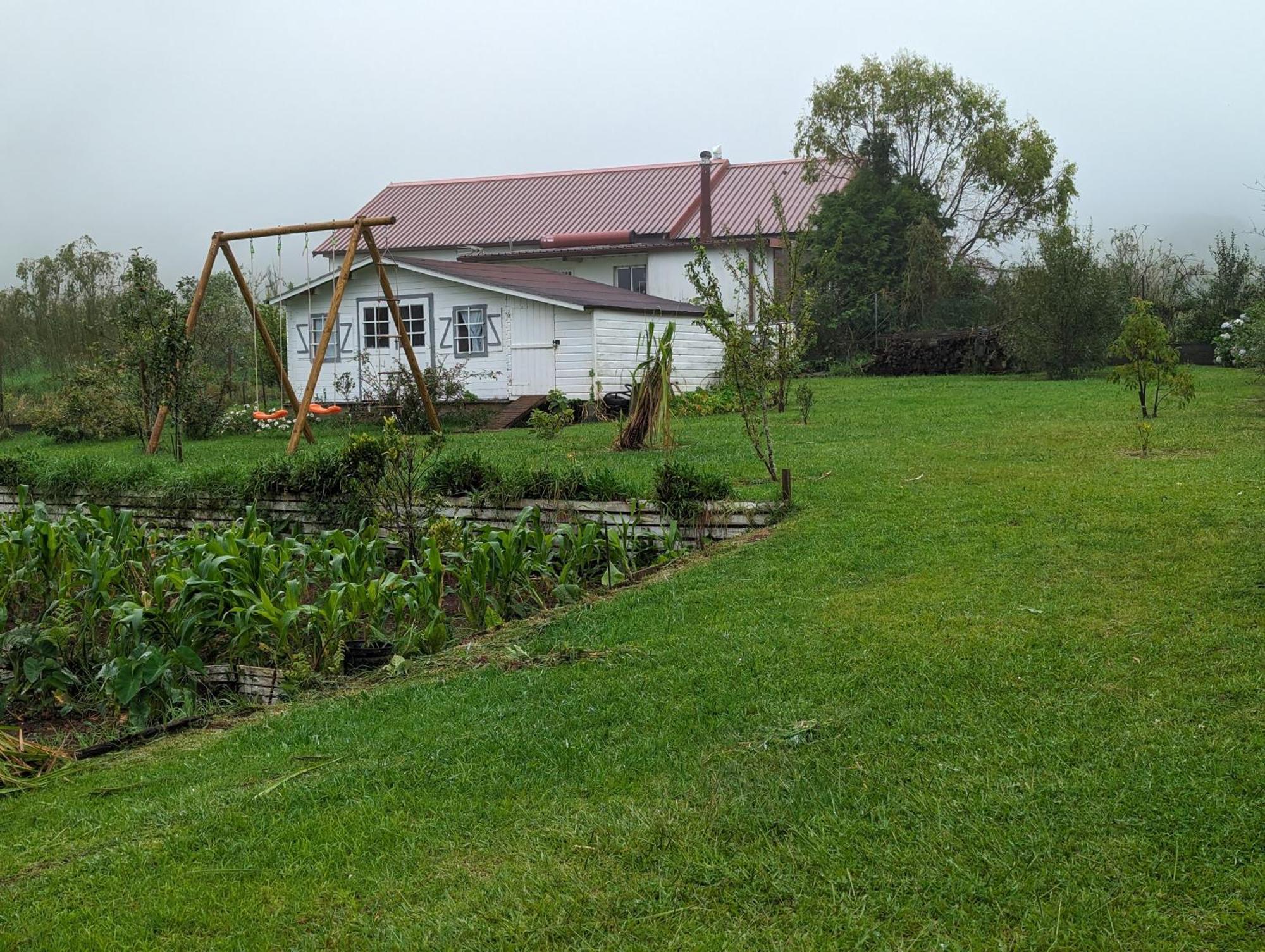 Villa Coeur Des Plaines La Plaine des Palmistes Buitenkant foto